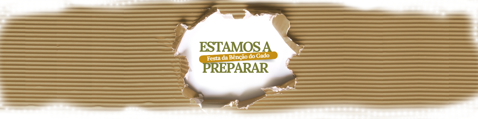 Estamos a preparar a BDG 2026