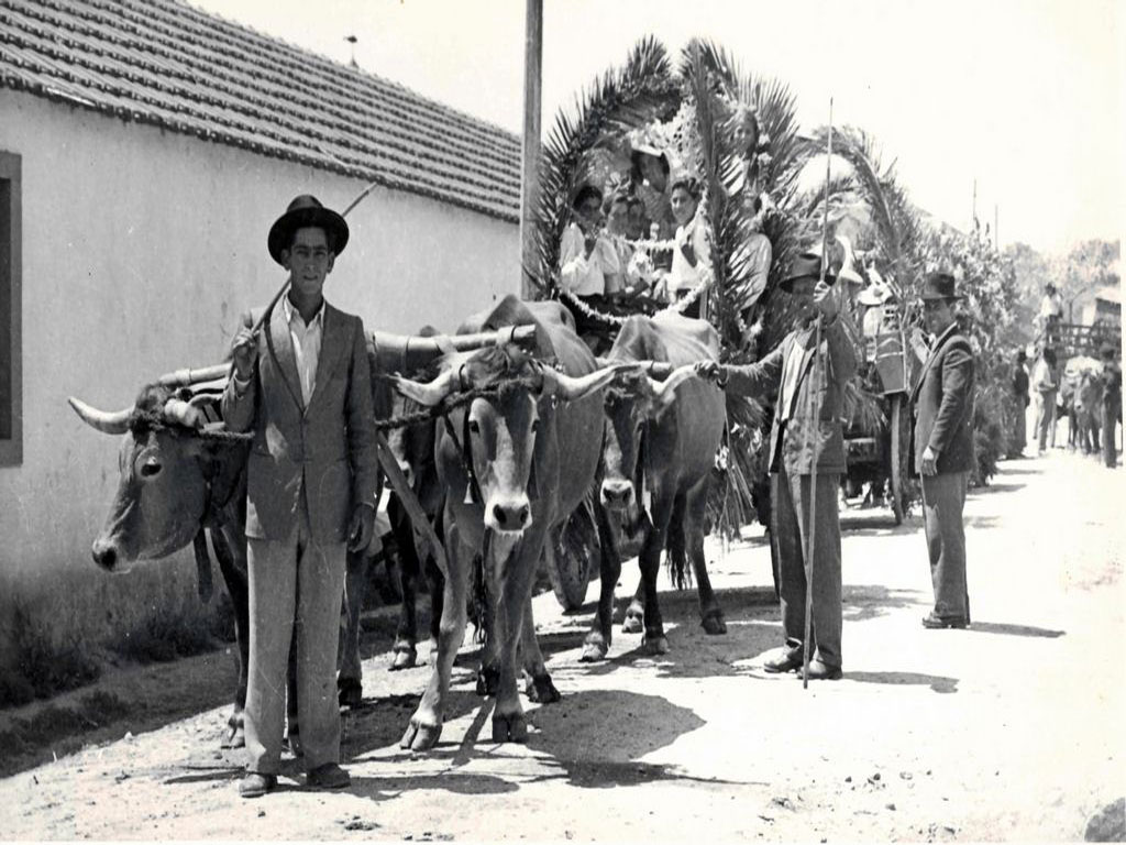 1953