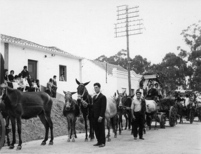 1966