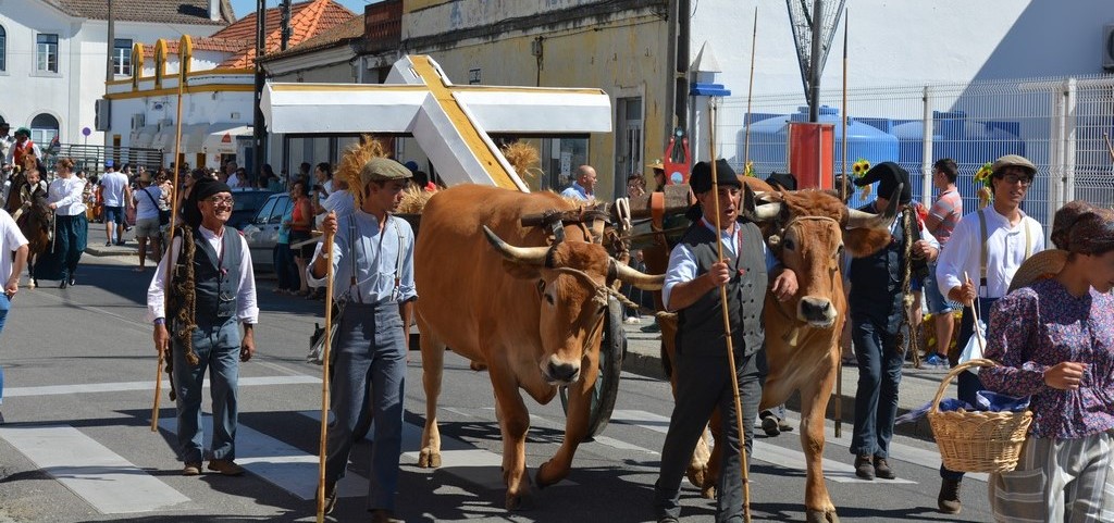 2016